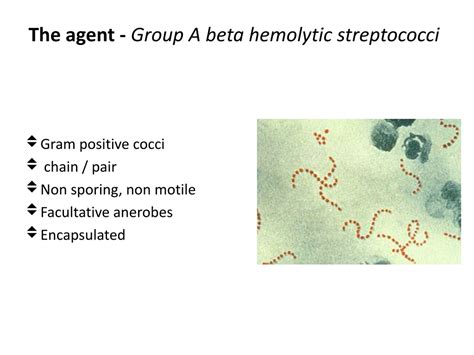 beta hemolytic streptococci|Rheumatic fever .